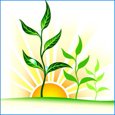 19819_Neujahr Sonne 225 225.jpg